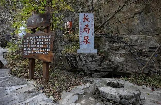 緬懷過去往昔浮華言語重點善摸抓打一个准确生肖,警惕虚假宣传落实,实证解答解释落实