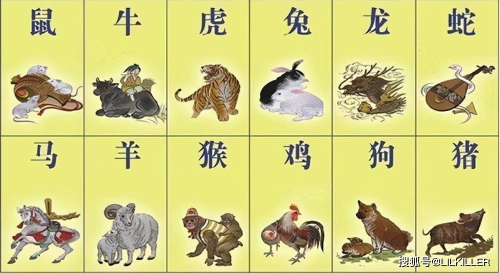 今期狗猴龙出特,四不两立长恨丽代表是指什么生肖,警惕虚假宣传落实,详细解答解释落实